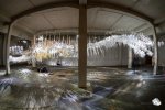 "Epiphyte Membrane" - ausgeflippte Idee für außergewöhnliche Motive! (Foto: Eric)