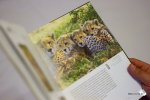 Die Abbildungen im Buch sehen inhaltlich und optisch klasse aus! (Foto: Melanie Lage/Foto-Prisma.de)