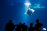 Auch im Urlaub ist die Kamera immer dabei. Hier im Ozeaneum in Stralsund (Foto: Eric)