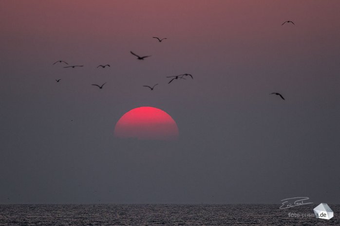 Der tägliche Sonnenuntergang ist im Oman garantiert (Foto: Eric)