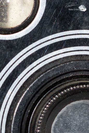 In der 100-Prozent-Ansicht lässt sich die Auflösungsleistung erkennen (aufgenommen mit EF 100mm f/2.8L IS Macro USM bei f/3.2 und ISO-250) (Foto: Eric)