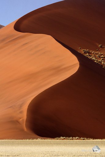 Jede der Dünen hat ihre unverwechselbare, aber auch unbeständige Form (Foto: Eric)