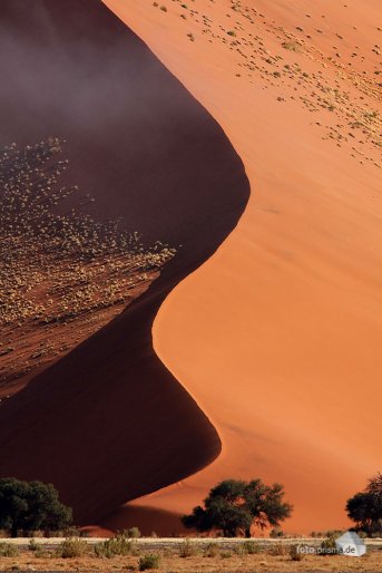 Die frühe Morgensonne schafft mystische Schattenspiele (Foto: Eric)