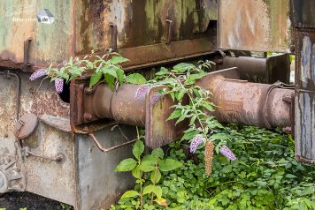 Viele Details wie diese überwachsenen Kupplungen verleihen der Zeche bereits den Charme eines Lost Place. (Foto: Eric Paul)