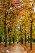 Wege erzeugen Tiefe, vor allem, wenn sie symmetrisch fotografiert werden. Der Radfahrer erzeugt einen Eyecatcher, die Farben prägen das Motiv. (Foto: Eric Paul)